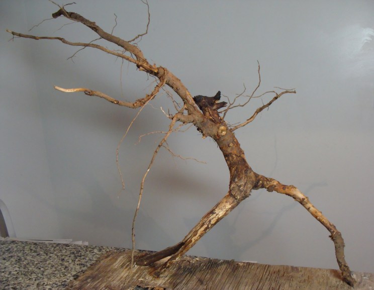 Striving, 27"x27"x15"