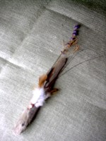 Mezuzah #4, not available